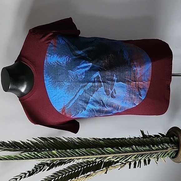 American Eagle maroontee with blue and black graphics - Picture 1 of 15